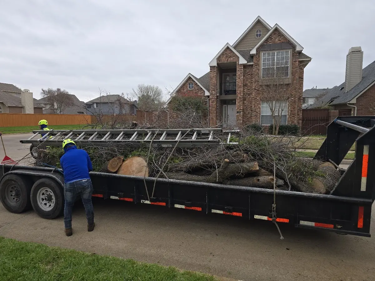 Expert Tree Fertilization with proper safety equipment in Perdue Hill